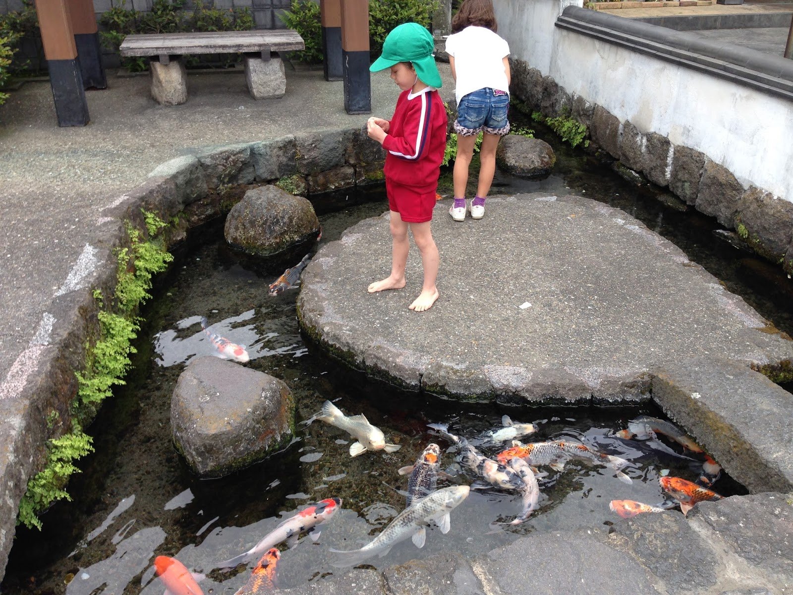 🏞️ 잉어가 헤엄치는 마을(코이노오요구마치)